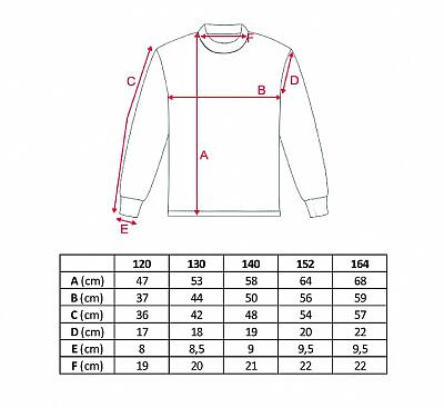 Tempish brankársky SET  Sixth Sense T1.0 JR + maska Hector Active white