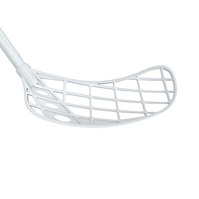 Fatpipe Raw 29 Racing Series Silk
