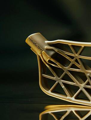 Salming Trident čepeľ Touch X (PP-H) Champagne